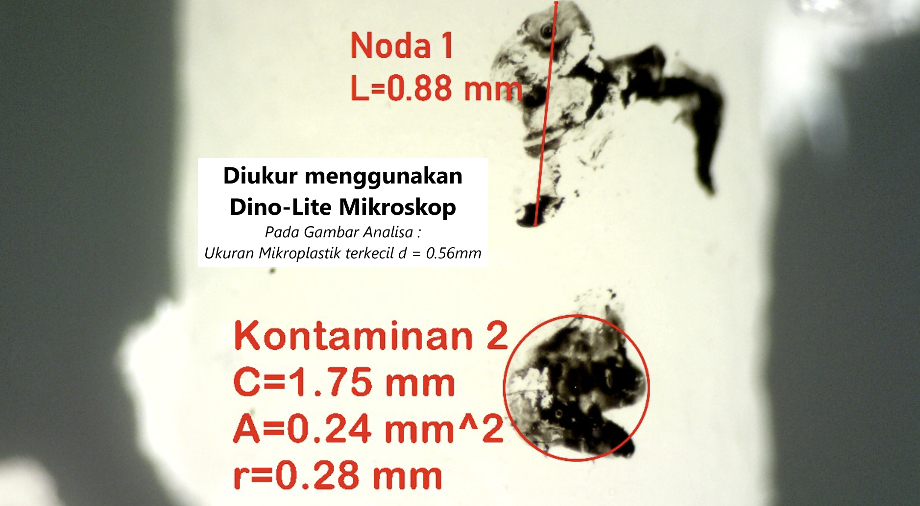 mikroplastik ukuran