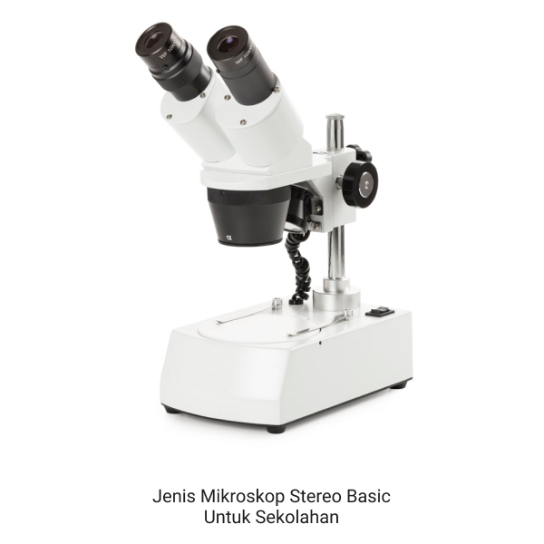 Mikroskop Stereo Basic