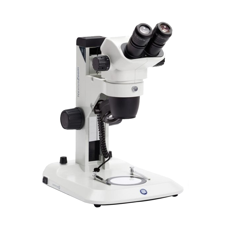 Mikroskop stereo pendidikan