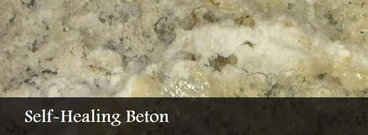 Self Healing Beton