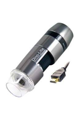 AM5018MZT Dinolite  Premier