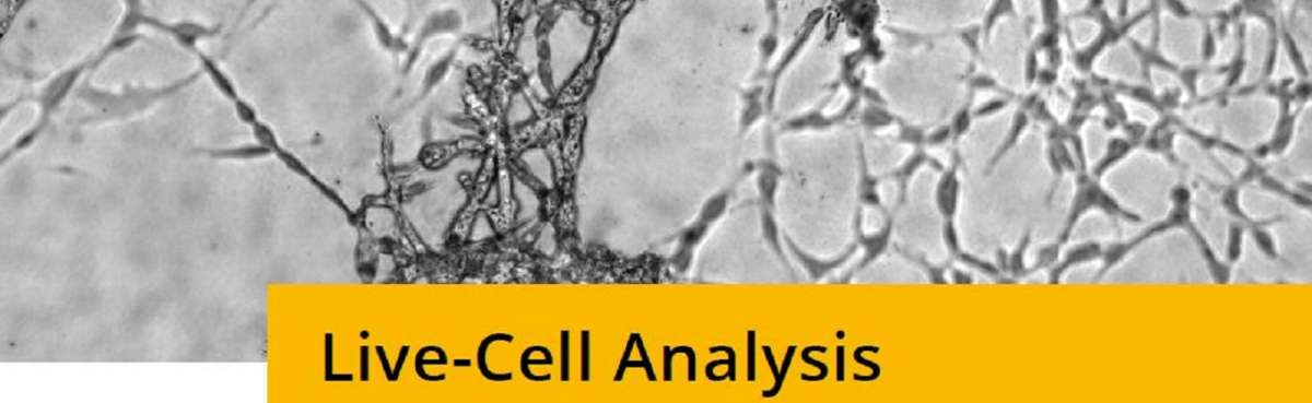 Live Cell Analysis