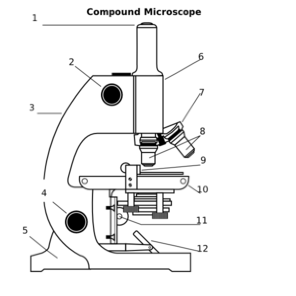 Kenali Bagian-Bagian pada Mikroskop dan Fungsinya