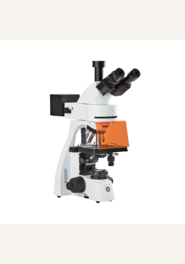 Euromex BS3153PLi Fluorescence Microscope